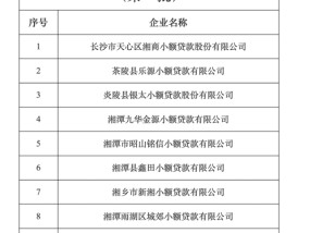 地方小贷加速出清，开年多地公告涉及清退超20家