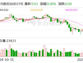 宝光股份：预计2024年净利润同比增加27.85%