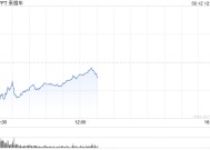 Lyft第四财季业绩不佳 股价下跌9%