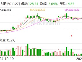 赛力斯张兴海：三年内新能源汽车实现百万量级目标