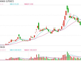 云内动力涉信批违规遭立案 公司治理、会计核算曾曝多项问题