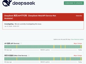 DeepSeek服务被挤“宕机”，雷军千万年薪挖角的“天才少女”曾是开发者之一