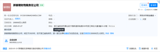 获准开业后浙银理财火速成立，武国元出任法人代表，正式对外营业仍在紧张筹备