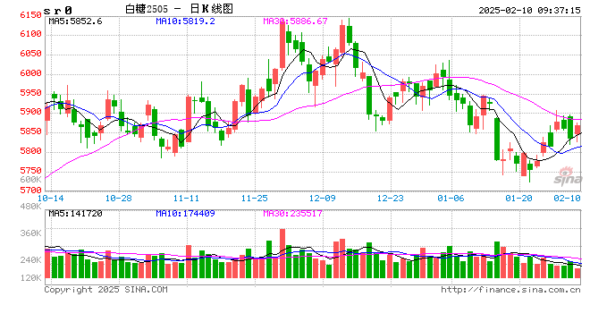 光大期货：2月10日软商品日报